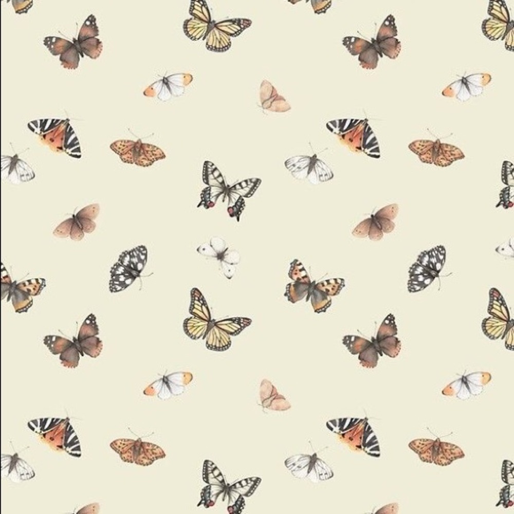 Meet your Posher, Lexie